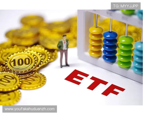 大赢家平台：多元化投资产品满足不同客户的理财需求